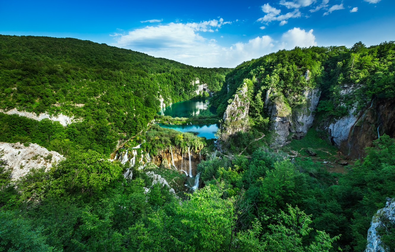 Wallpaper Forest Landscape Rocks Panorama Waterfalls Cascade