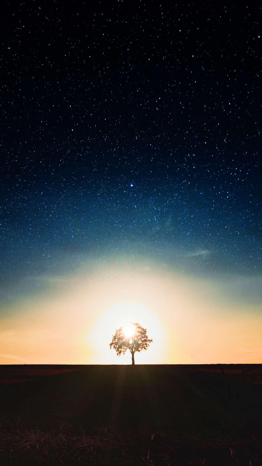 Starry Sky Tree Alone Wallpaper In Galaxy