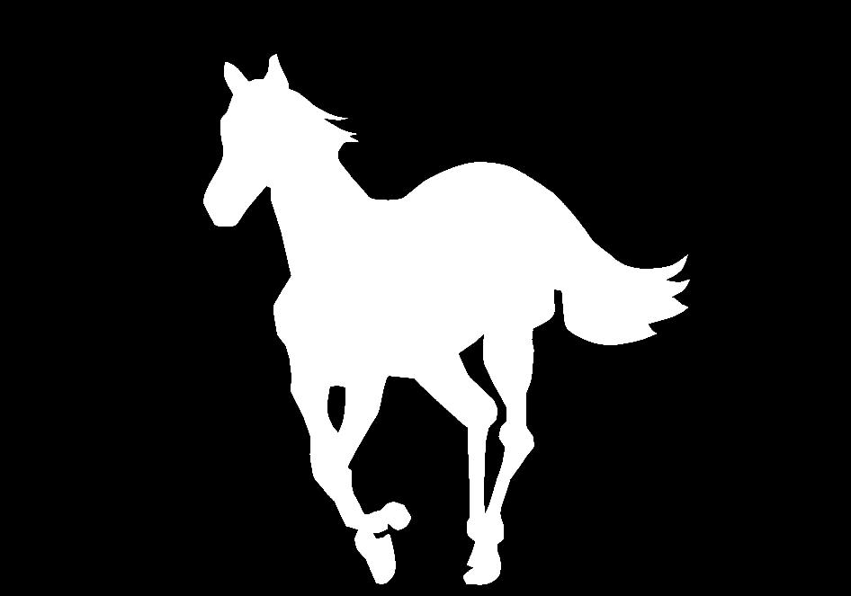 Deftones White Pony Graphics Code Ments