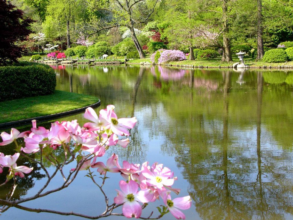 Kids Under Spring Wallpapers for desktop