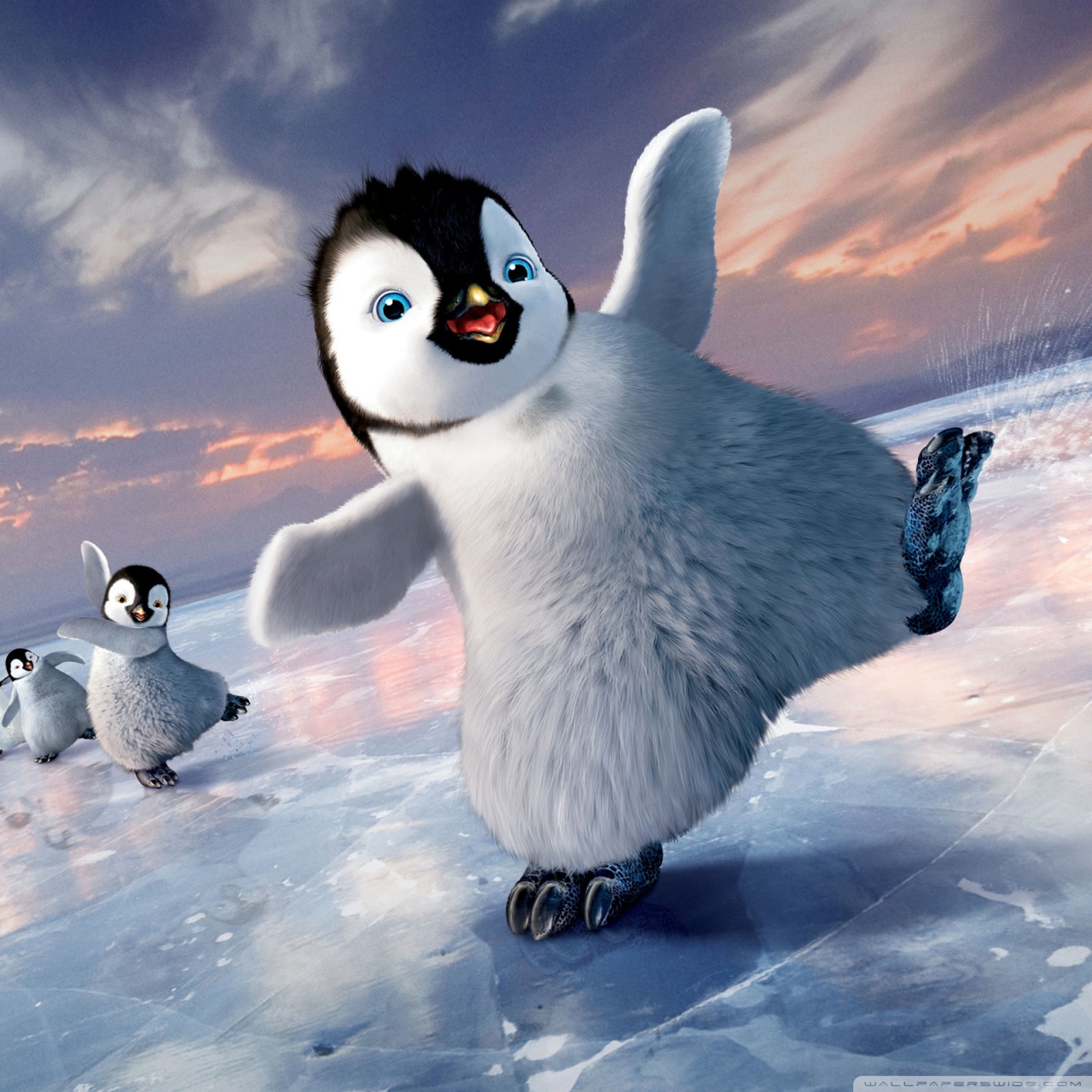 Happy Feet Baby Penguin HD Wallpaper Background Image