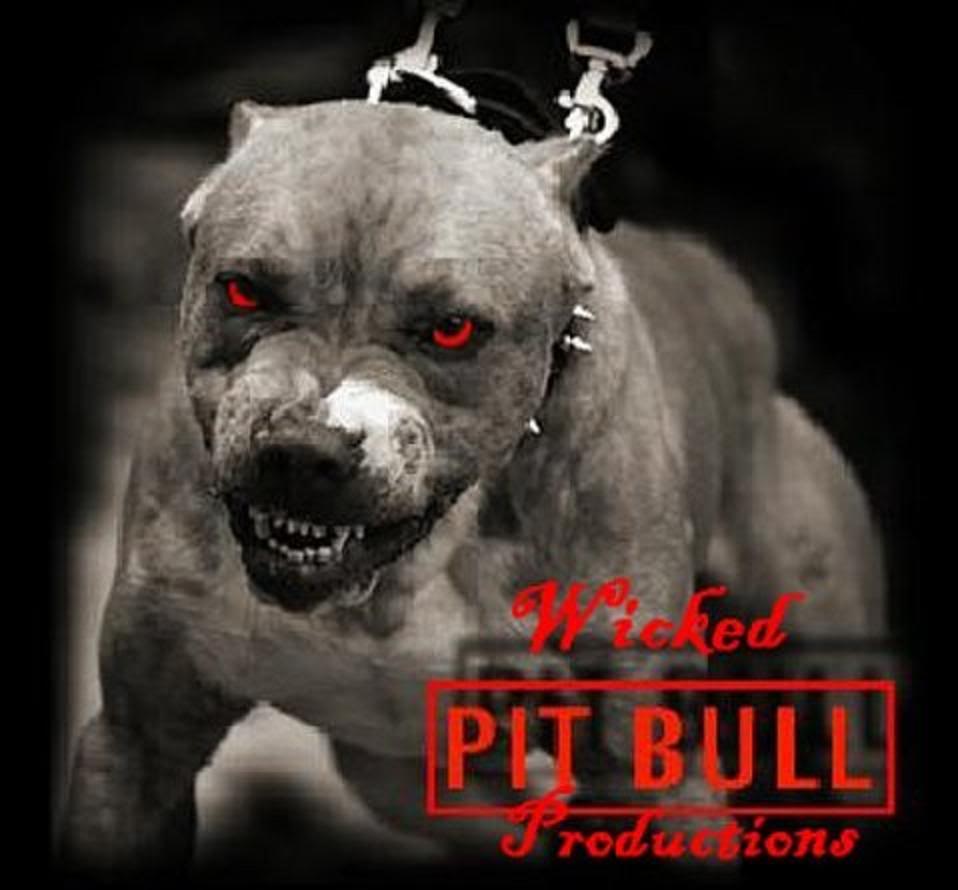 pit bull attack 958x890