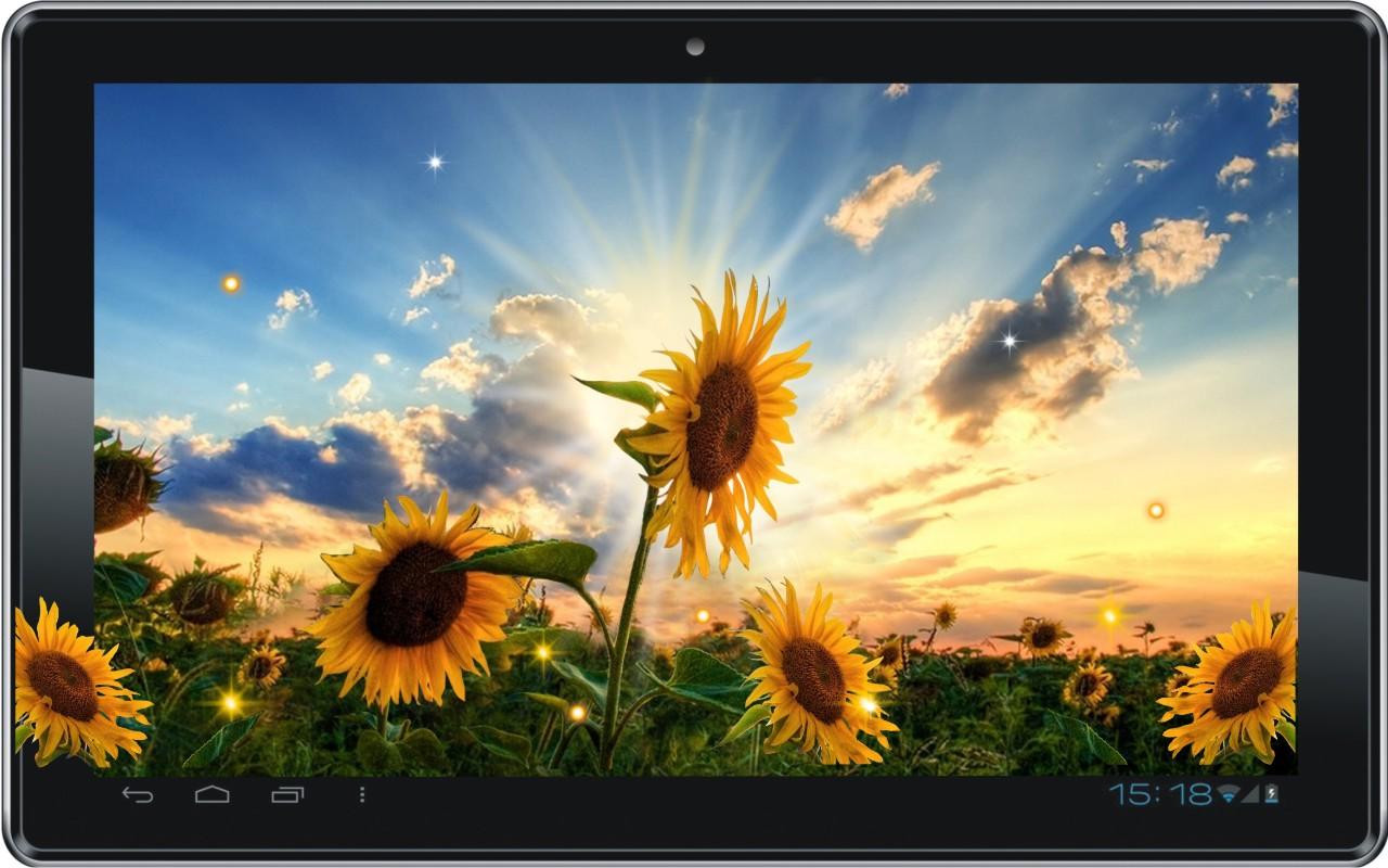 Sunflower Sunset Liv Wallpaper Android Apps On Google Play