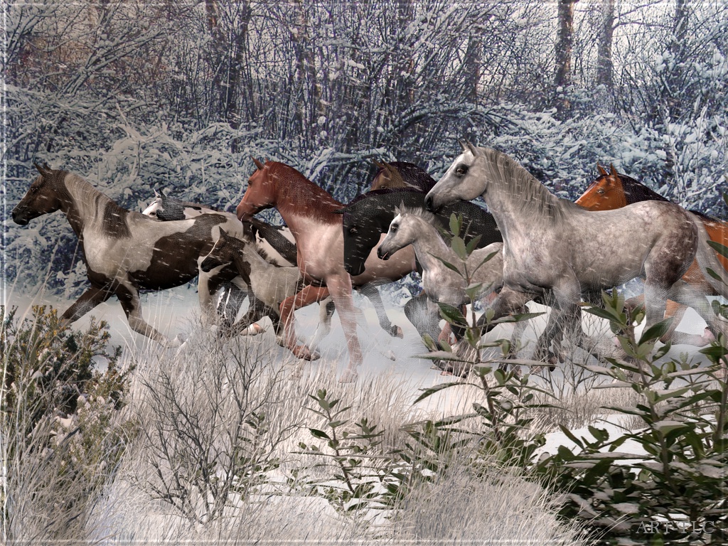 Wallpaper By Art Tlc Horses On Snowy Mountain