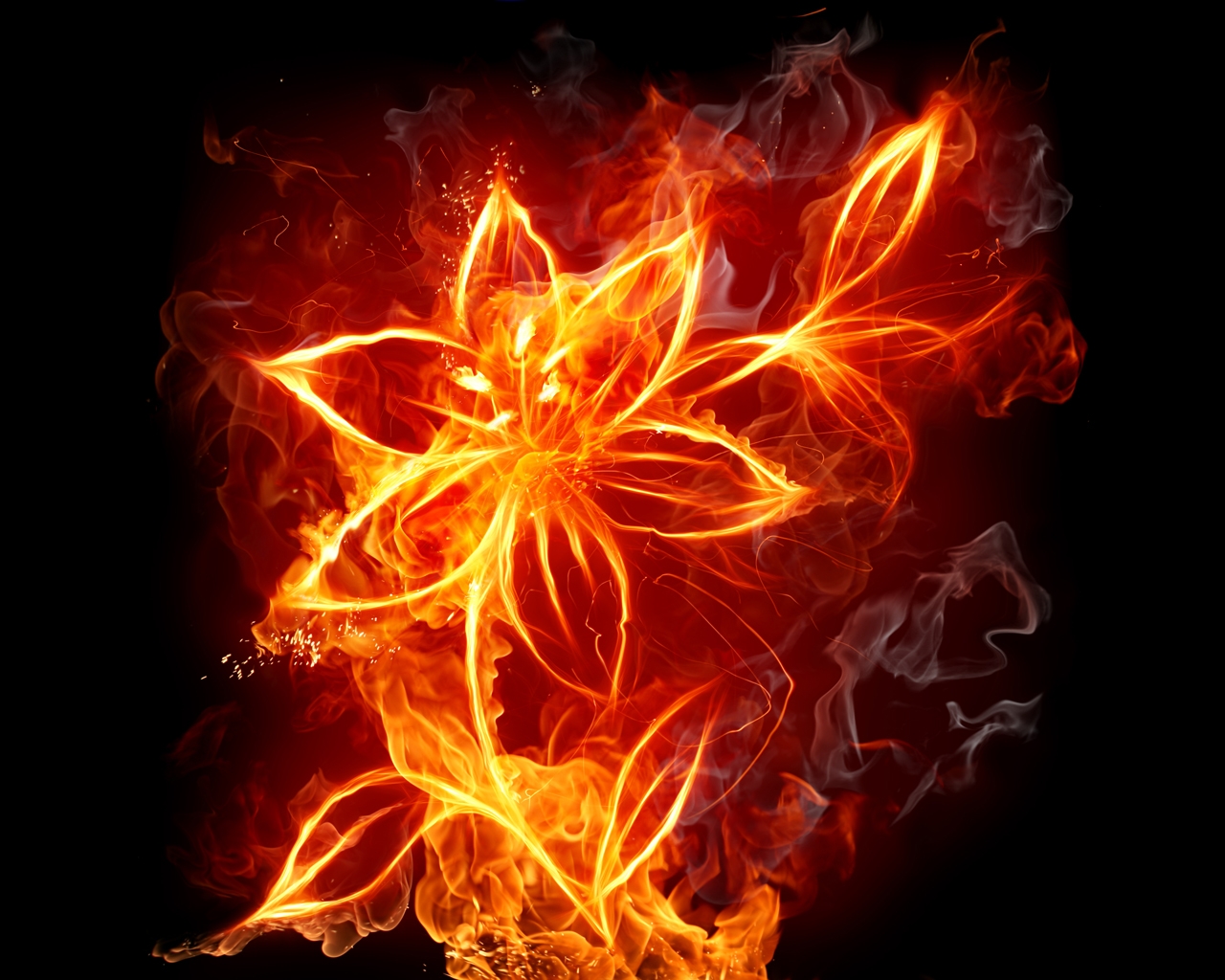 Fire Flowers HD Wallpaper 3d Abstract