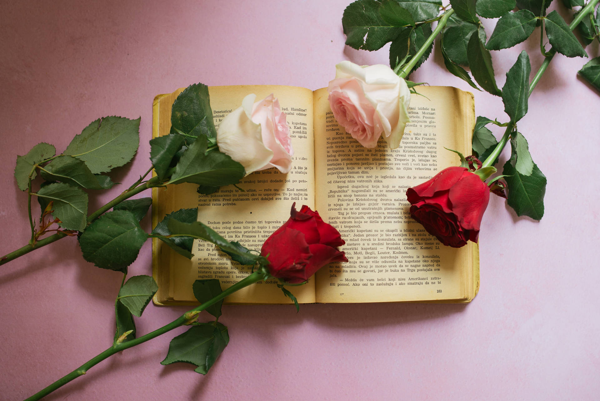 Aesthetic Book Desktop Wallpaper
