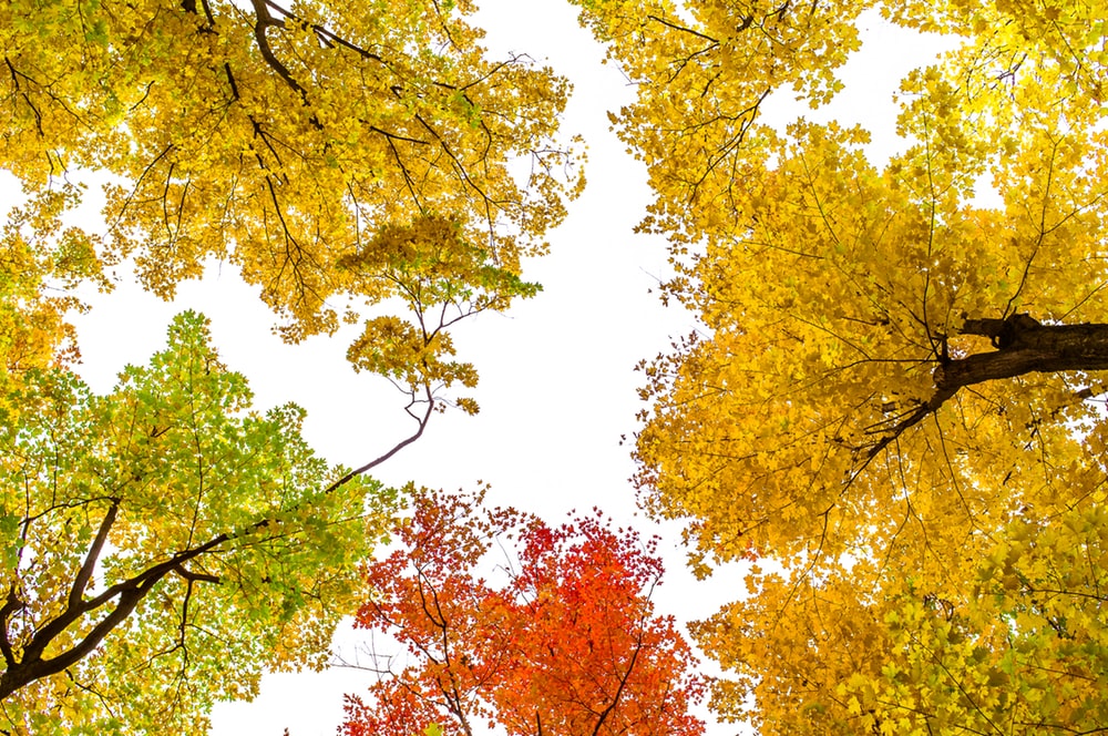 Fall And Autumn Wallpaper Best