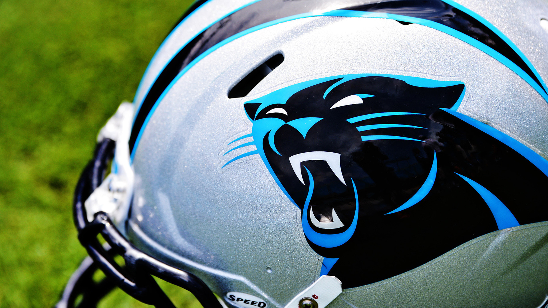 Carolina Panthers Wallpaper