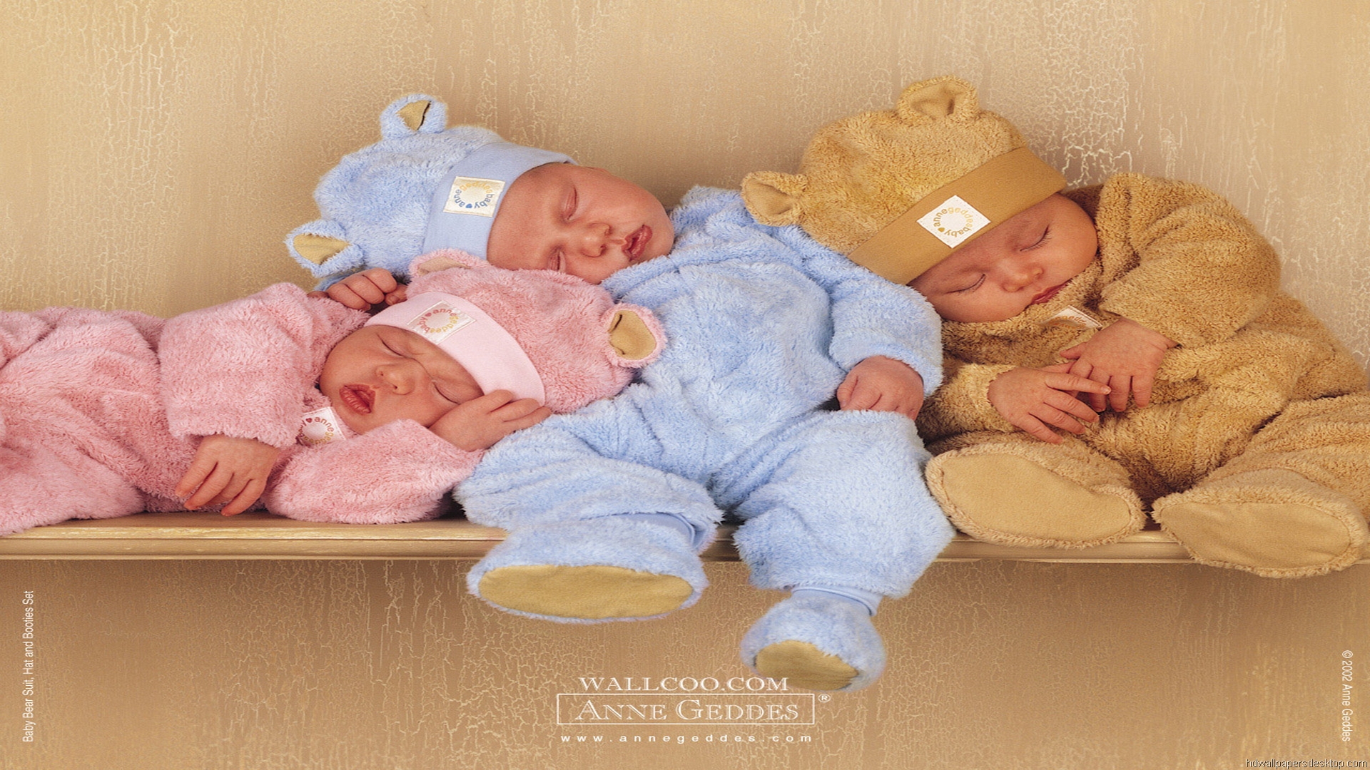 Anne Geddes Wallpaper Baby Photography