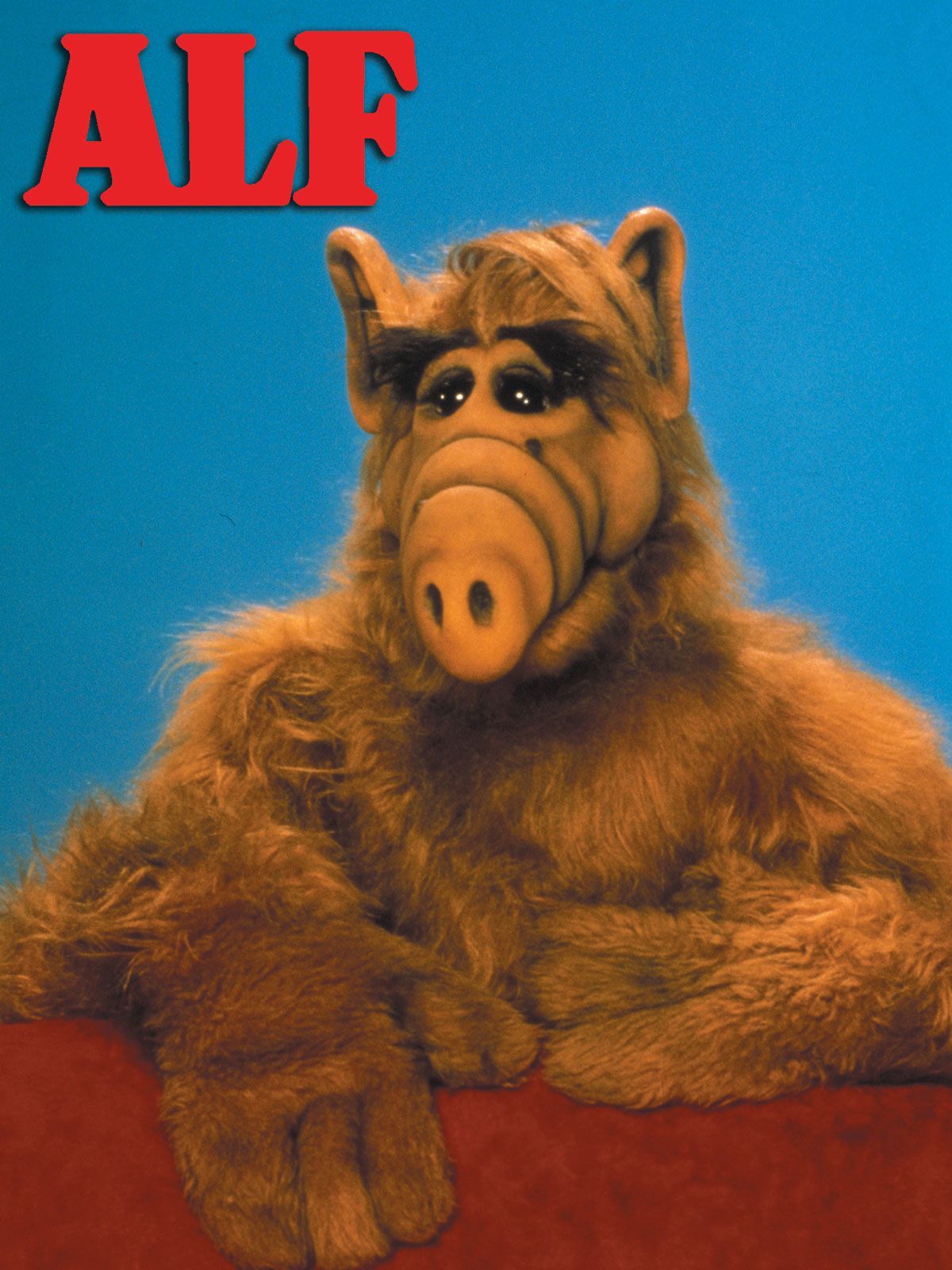 Alf Image Character Live Action HD Wallpaper And Background