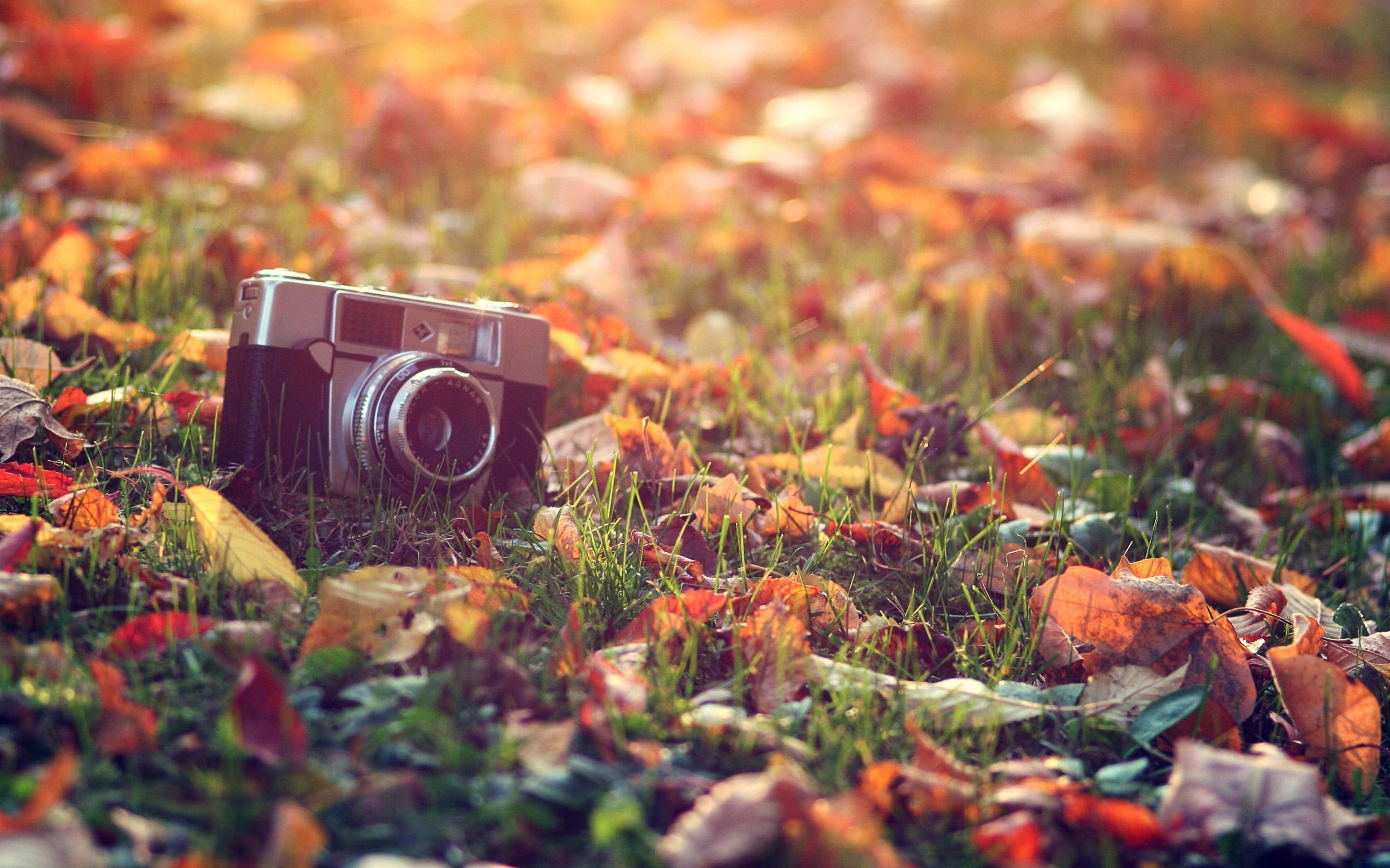 Vintage Photography Desktop Wallpaper In Psd