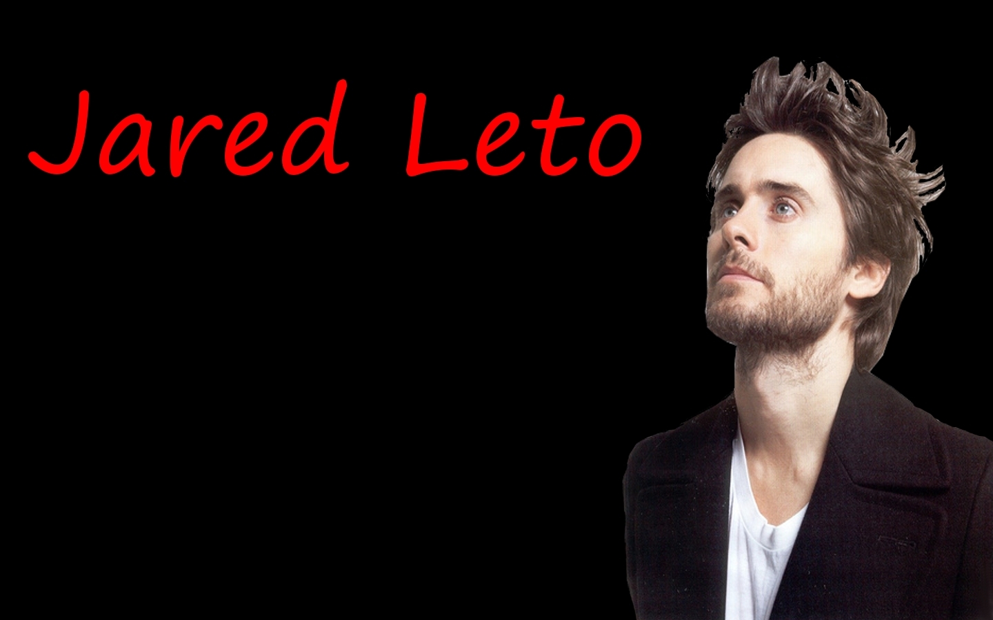 Jared Leto Wallpaper Seconds To Mars