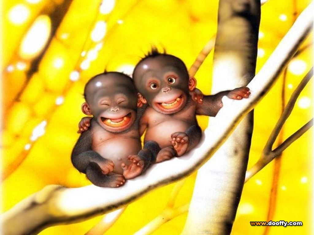 Funny Monkeys HD Wallpaper