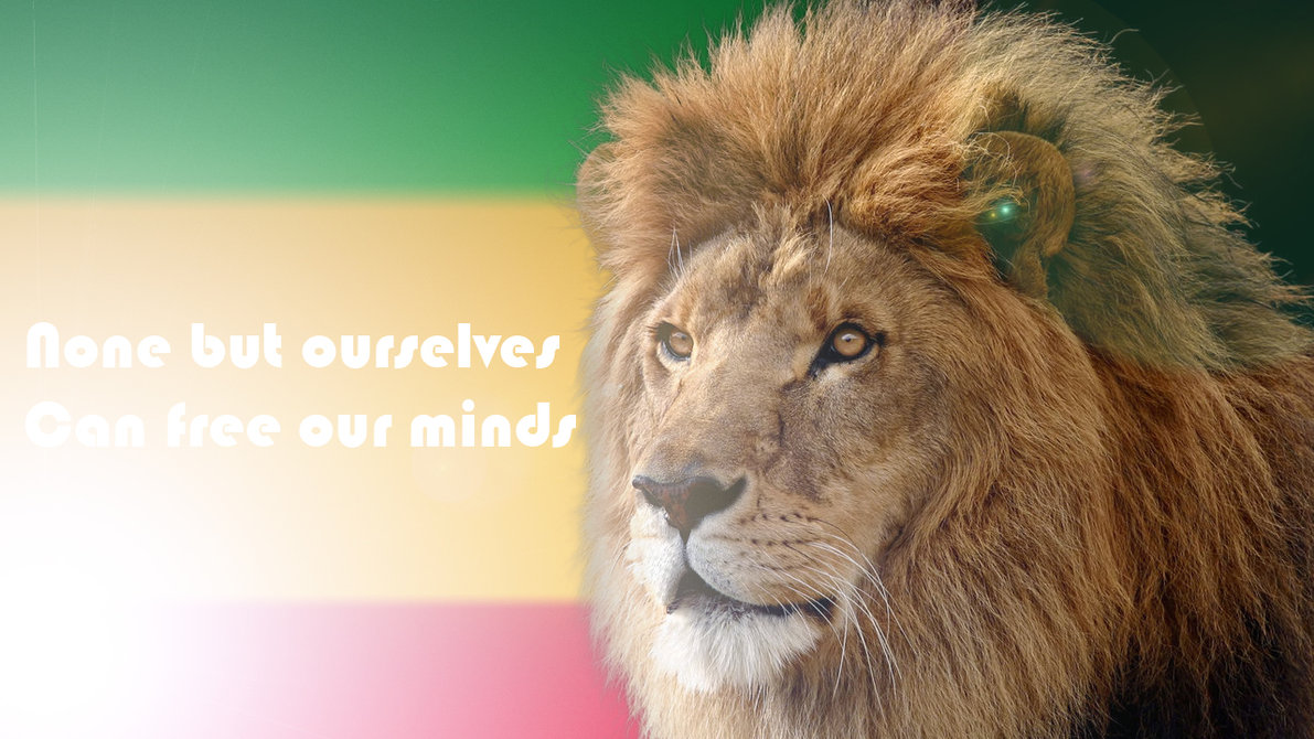 lion of judah rasta wallpaper