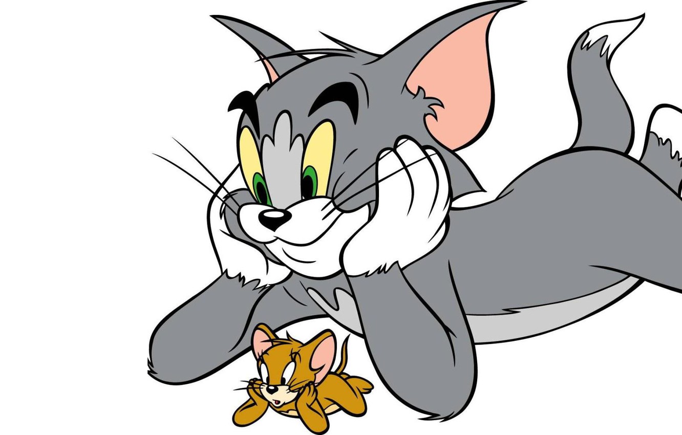 Wallpaper Cat Mouse White Background Tom And Jerry Image For