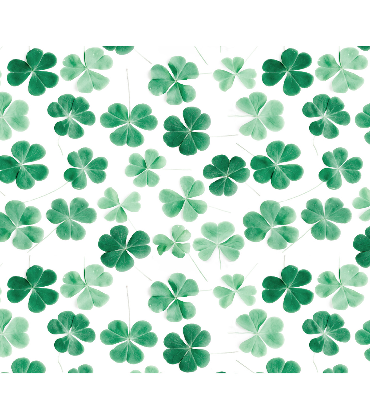 St Patrick S Day Cotton Fabric Photo Real Clovers On White Joann
