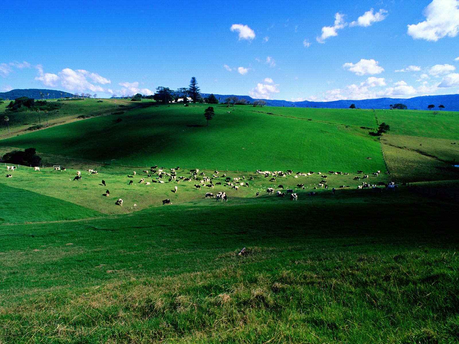 Desktop Nature Wallpaper