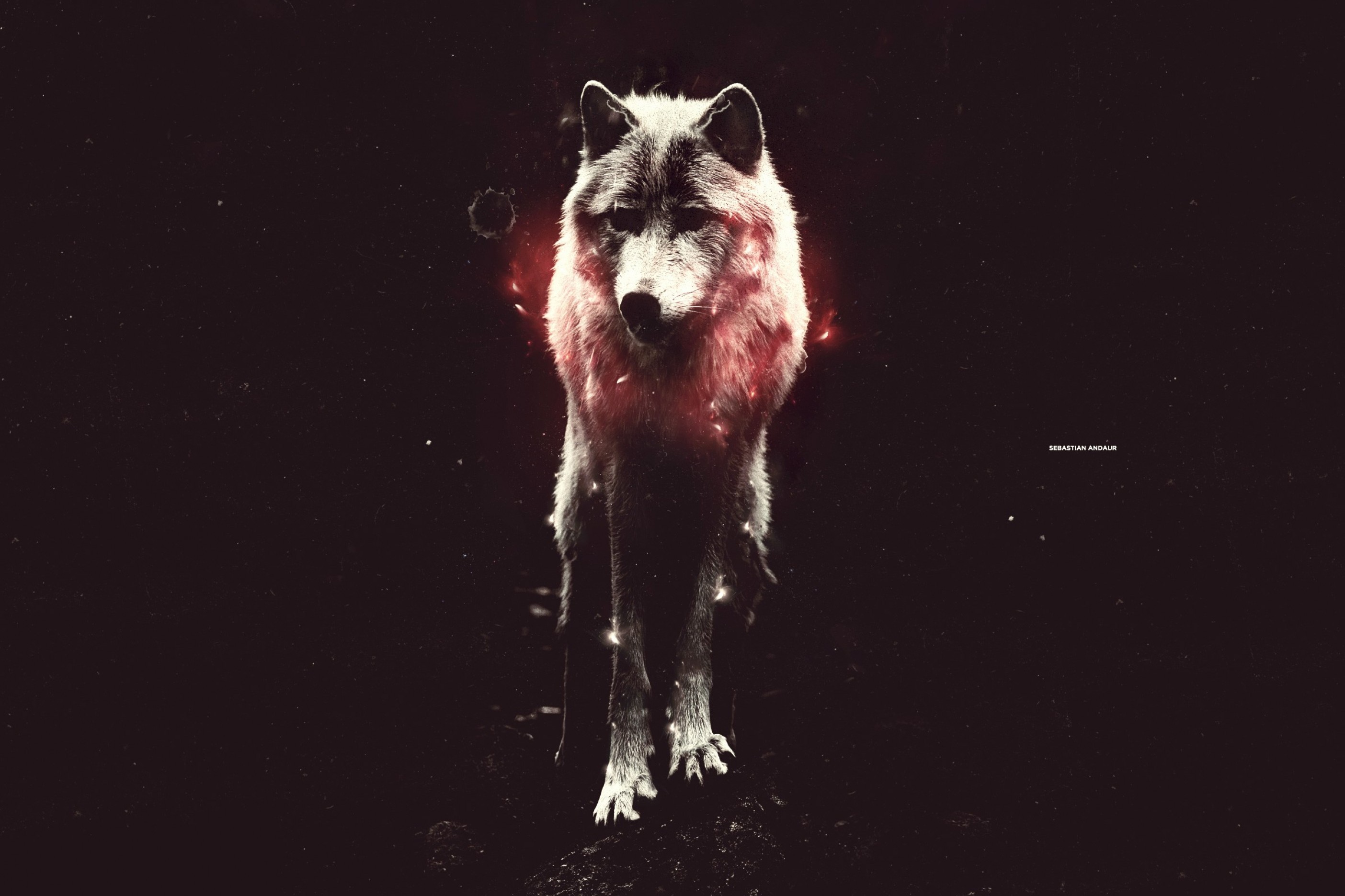 Abstract Animals Wallpaper Wolf