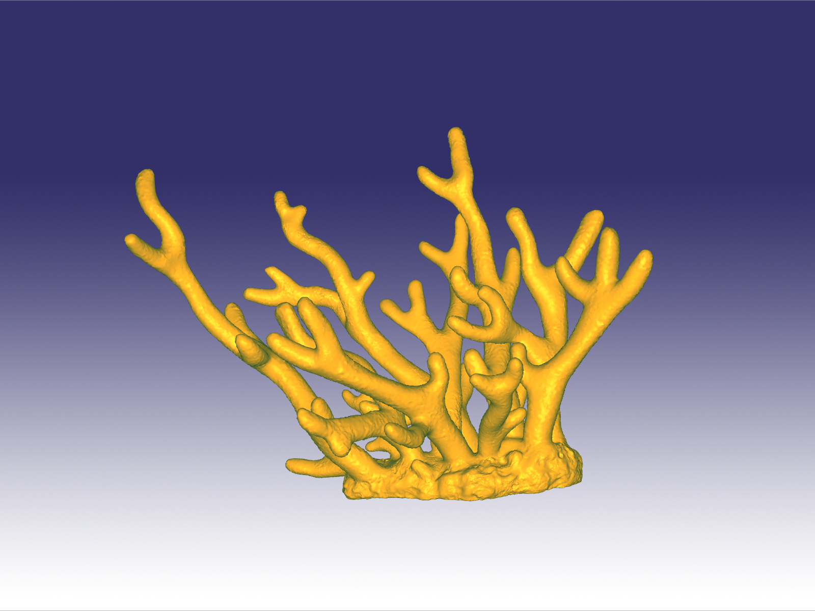 Obj File Staghorn Coral 3d Printable Design To Cults Wallpaper