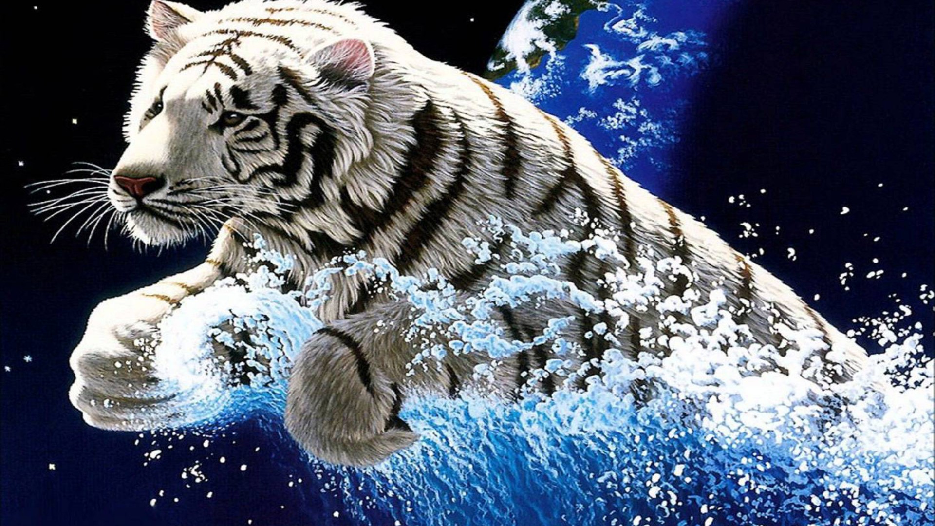 White Tiger Widescreen 3840x2400 Hd Wallpapers 1920x1080