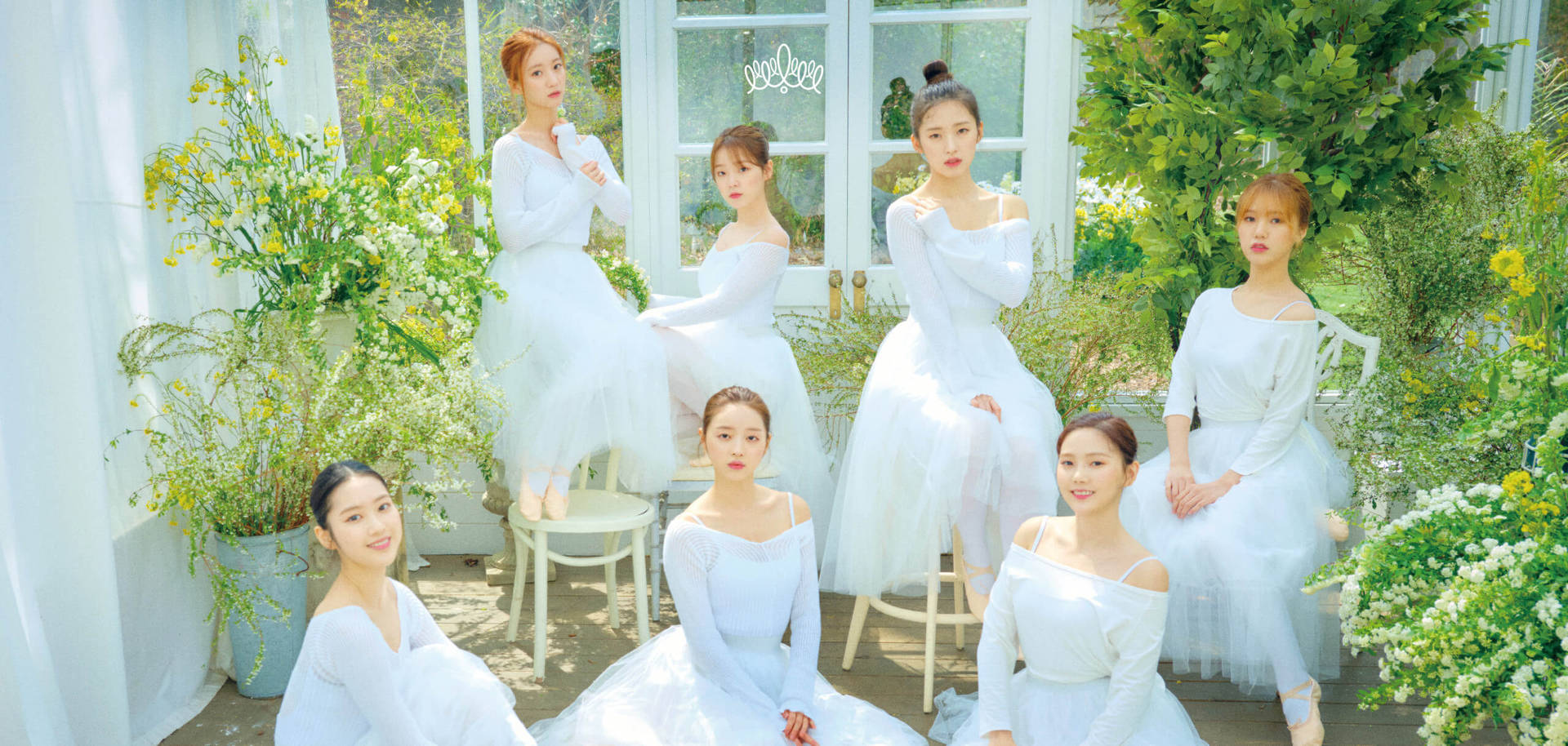 Oh My Girl Picture Wallpaper