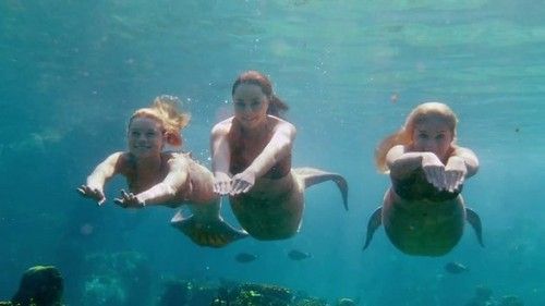 Swimming Mako Mermaids Photo An H2o