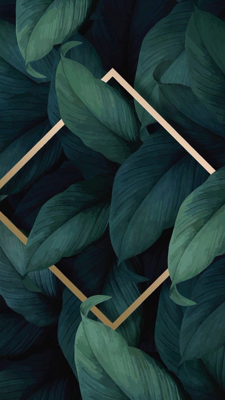 Image About Green In Wallpaper By Mickey On We Heart It