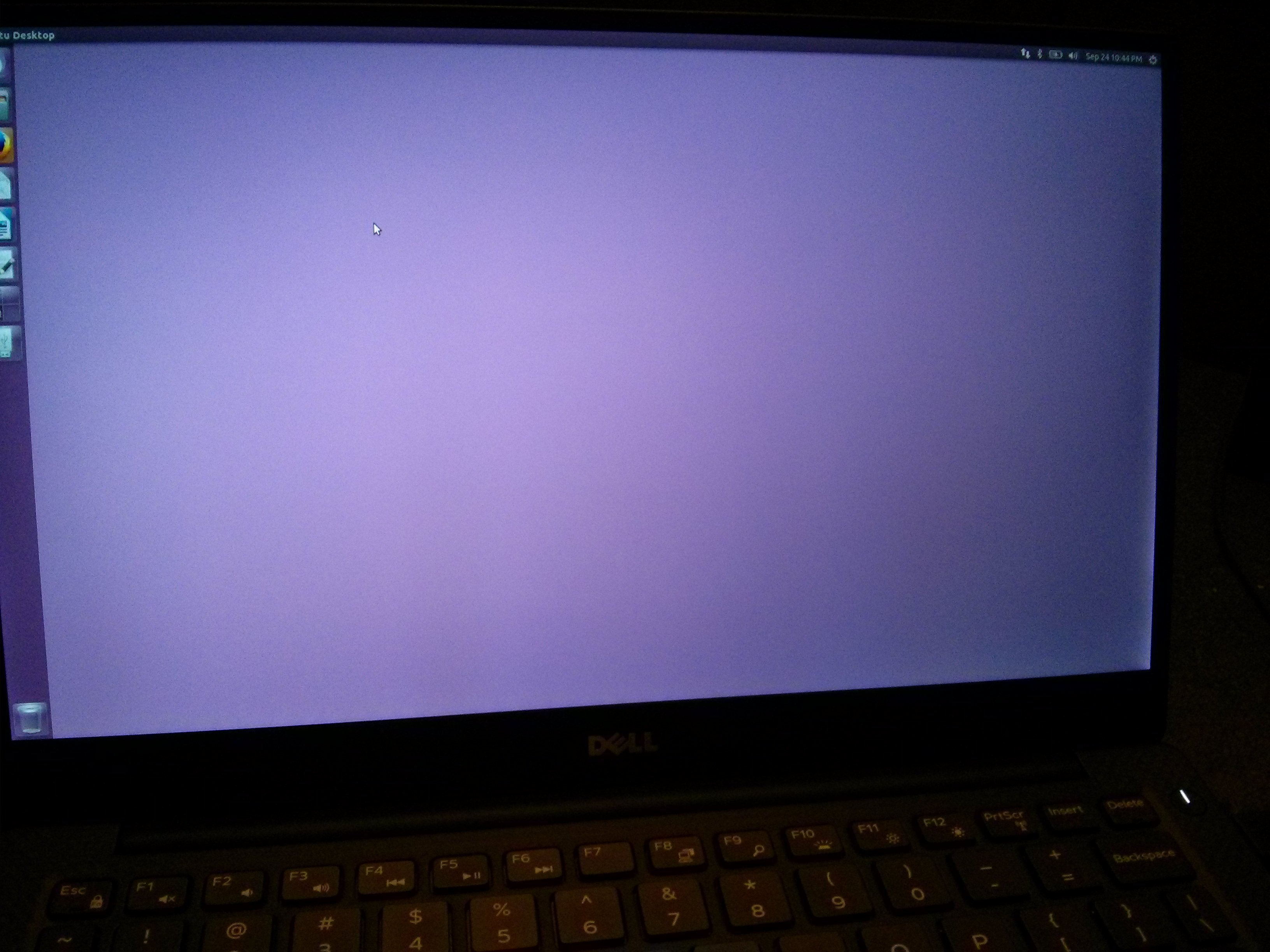 Dell Xps Screen Flaw