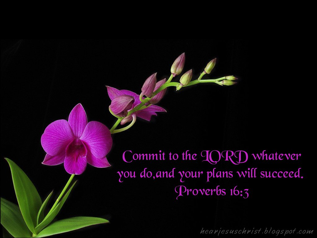 Christian Wallpaper Bible Verse Proverbs
