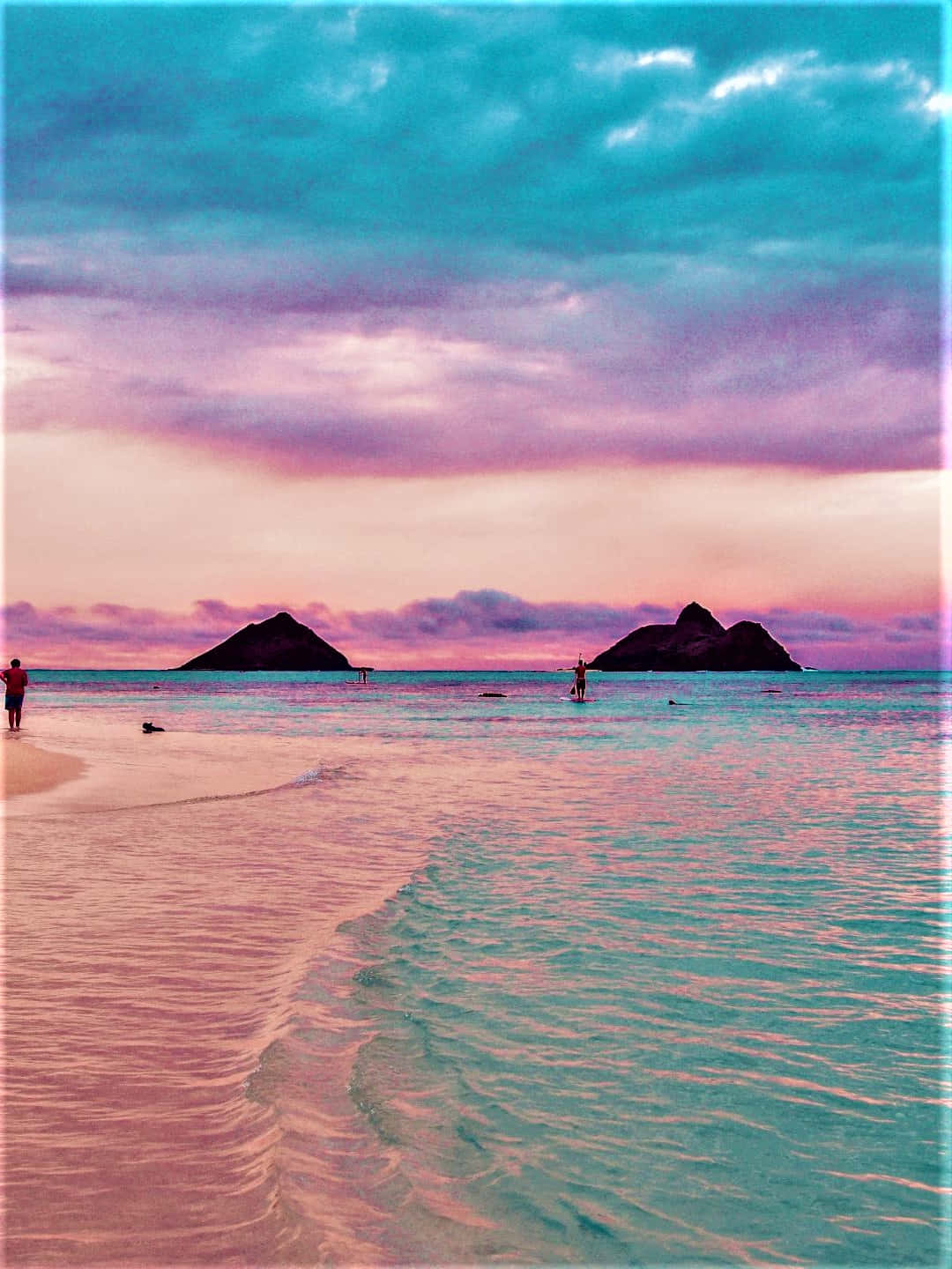 Pink Beach Wallpaper