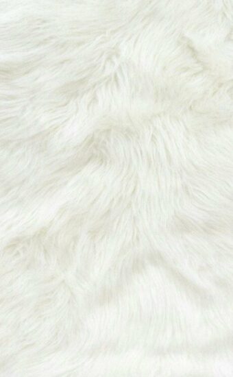 Fur Wallpaper HD