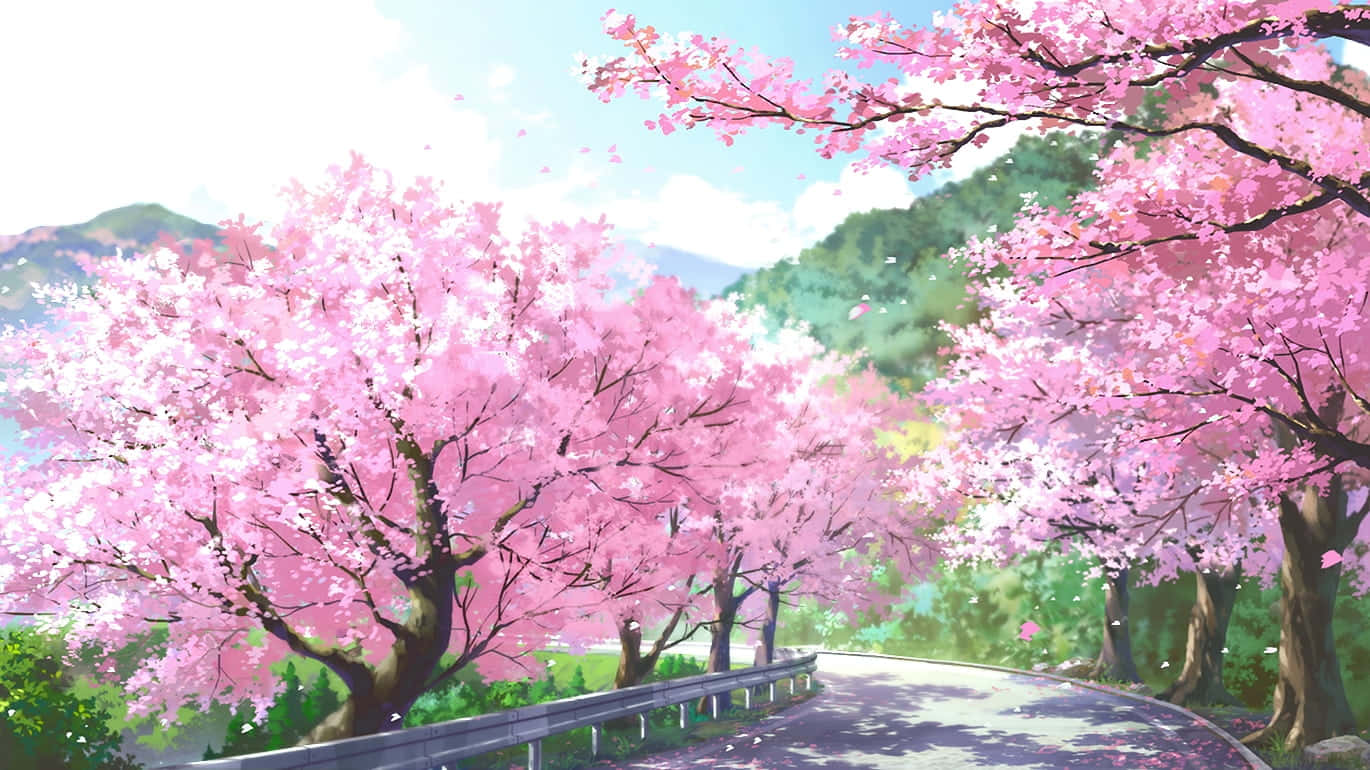 Anime Cherry Blossom Green Mountains Background Wallpaper