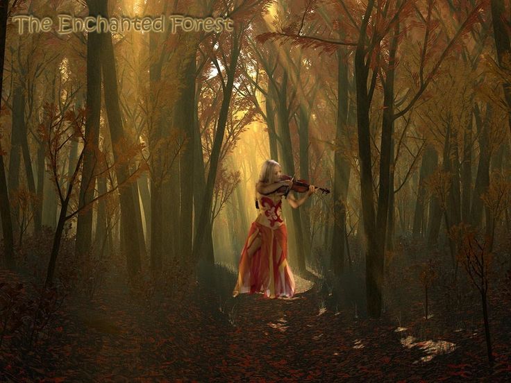 Enchanted Forest Celtic Woman Wallpaper