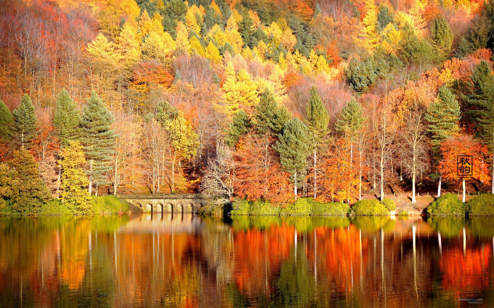 Autumn Wallpaper HD Widescreen Desktop Mega