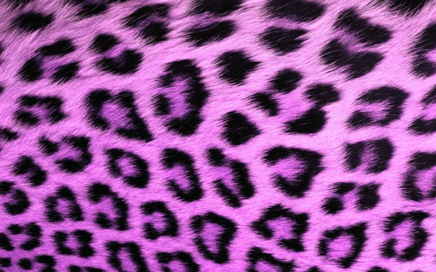 free-download-leopard-print-wallpaper-hd-by-josephpineda