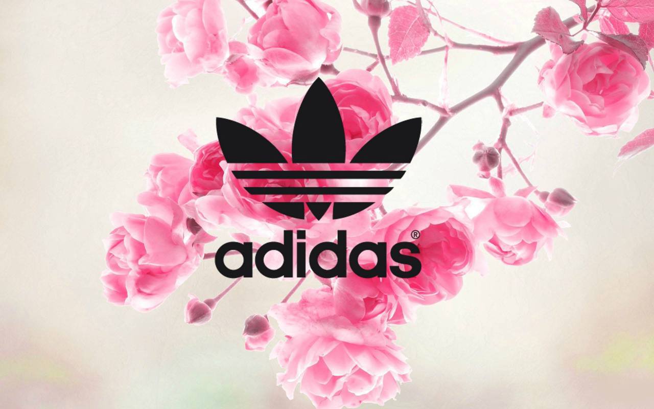 Free download iPhone 5\5s via on We Heart It [1280x800] for your Desktop,  Mobile & Tablet | Explore 13+ Pink Adidas Wallpapers | Adidas 2015 Wallpaper,  Adidas Wallpapers, Adidas Wallpaper