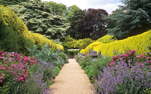 Traditional English Herbaceous Flower Border Of