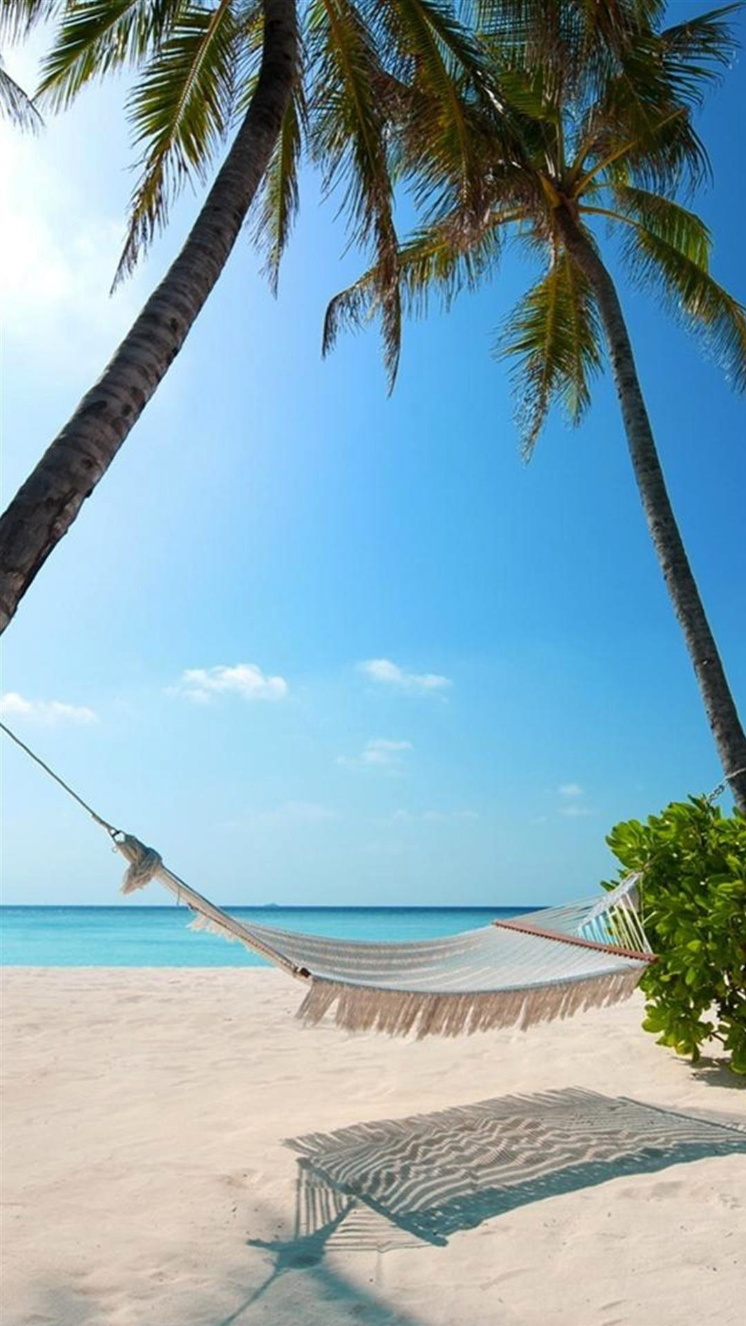 Palm Tree Beach Wallpaper