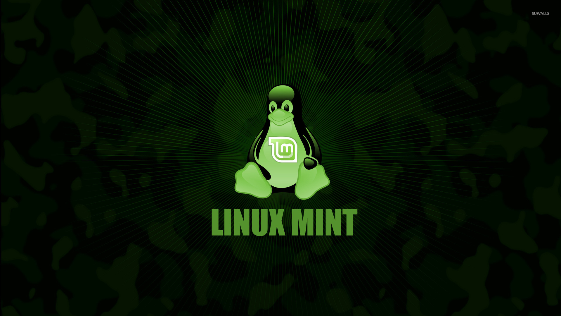 Linux Mint wallpaper   Computer wallpapers   8124