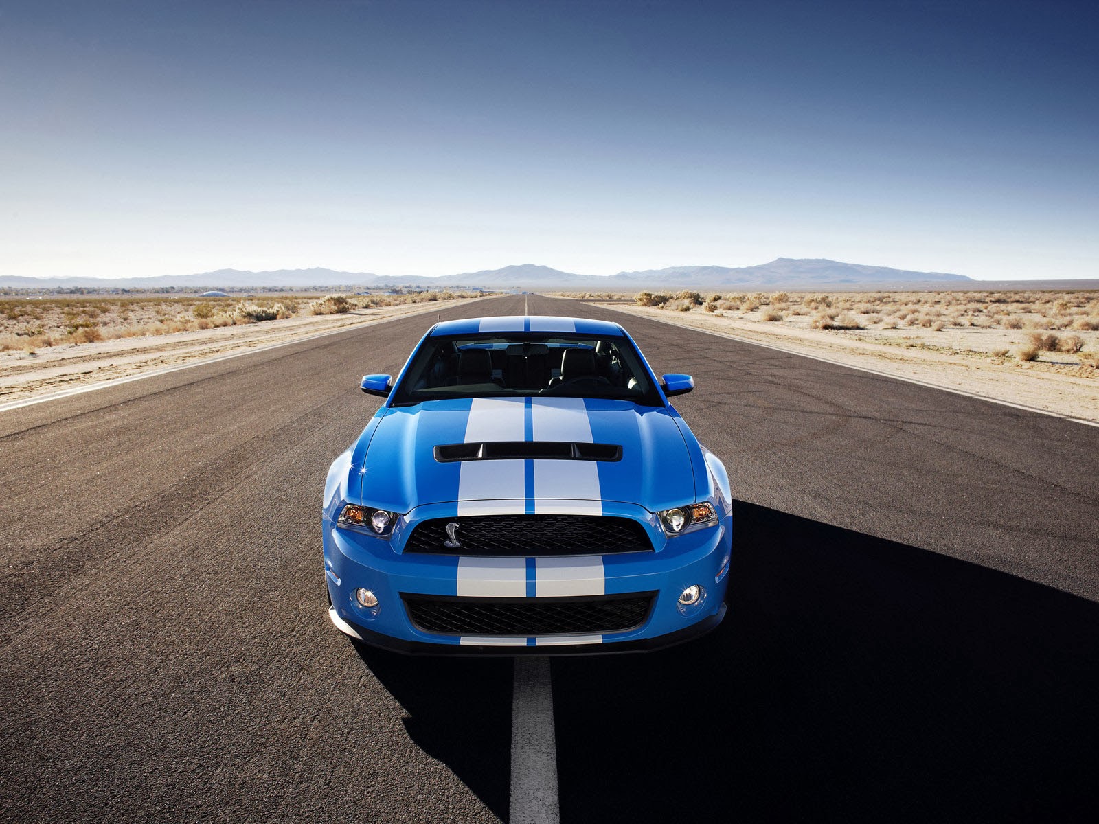 Art Pictures Ford Mustang Shelby Gt500 Car Wallpaper