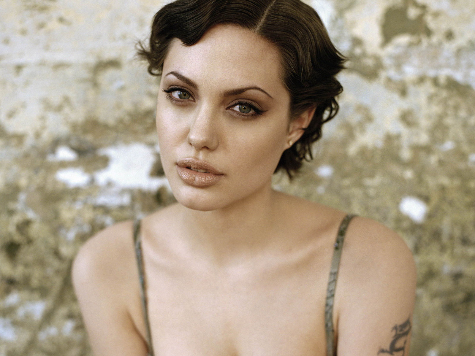 Angelina Jolie Wallpaper