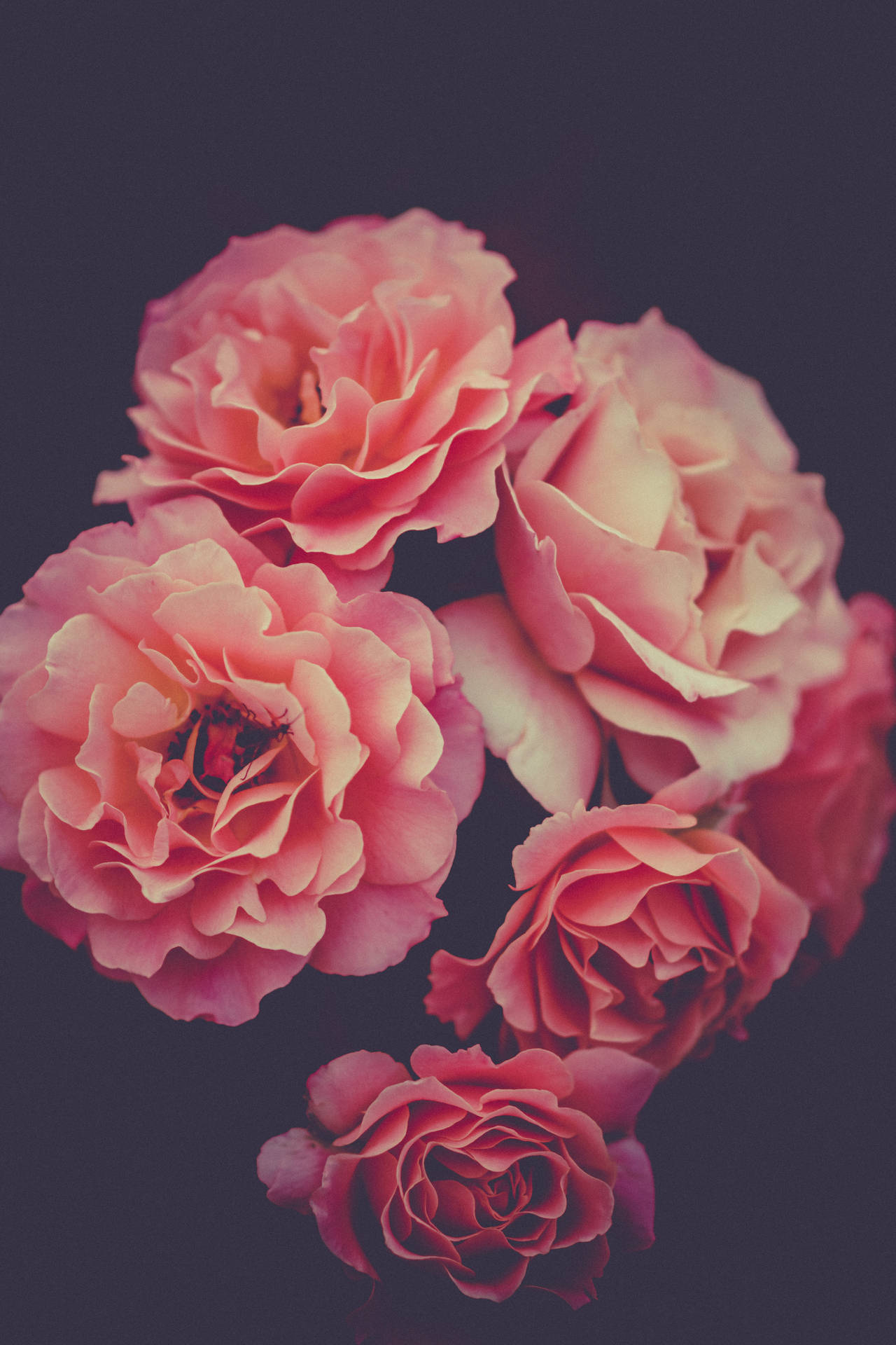 Aesthetic Art Wallpaper