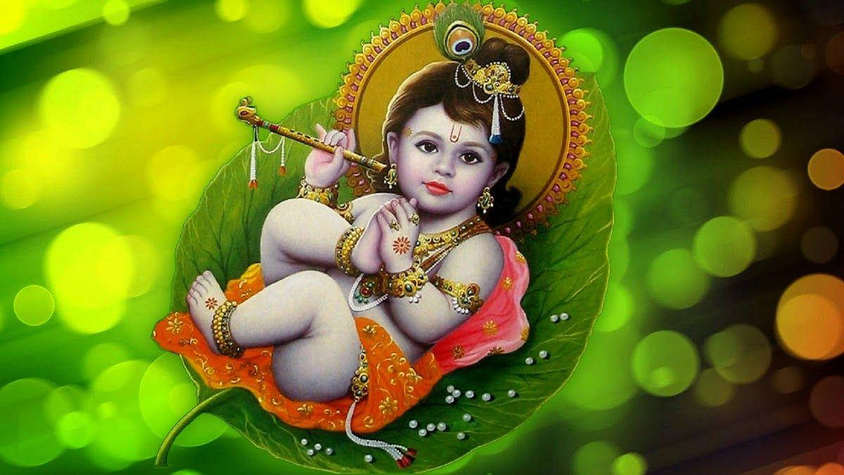 Little Krishna HD Wallpaper