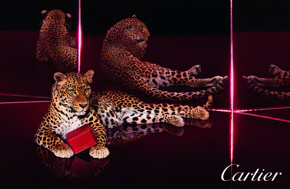 Cartier Mazarine Signs The E Back Of Panther In