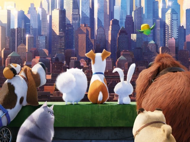 The Secret Life of Pets 2016 Movies HD Wallpapers 640x480