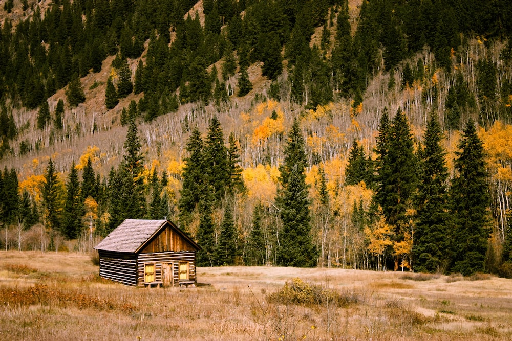 Mountain Cabin Pictures [HD] Download Free Images on