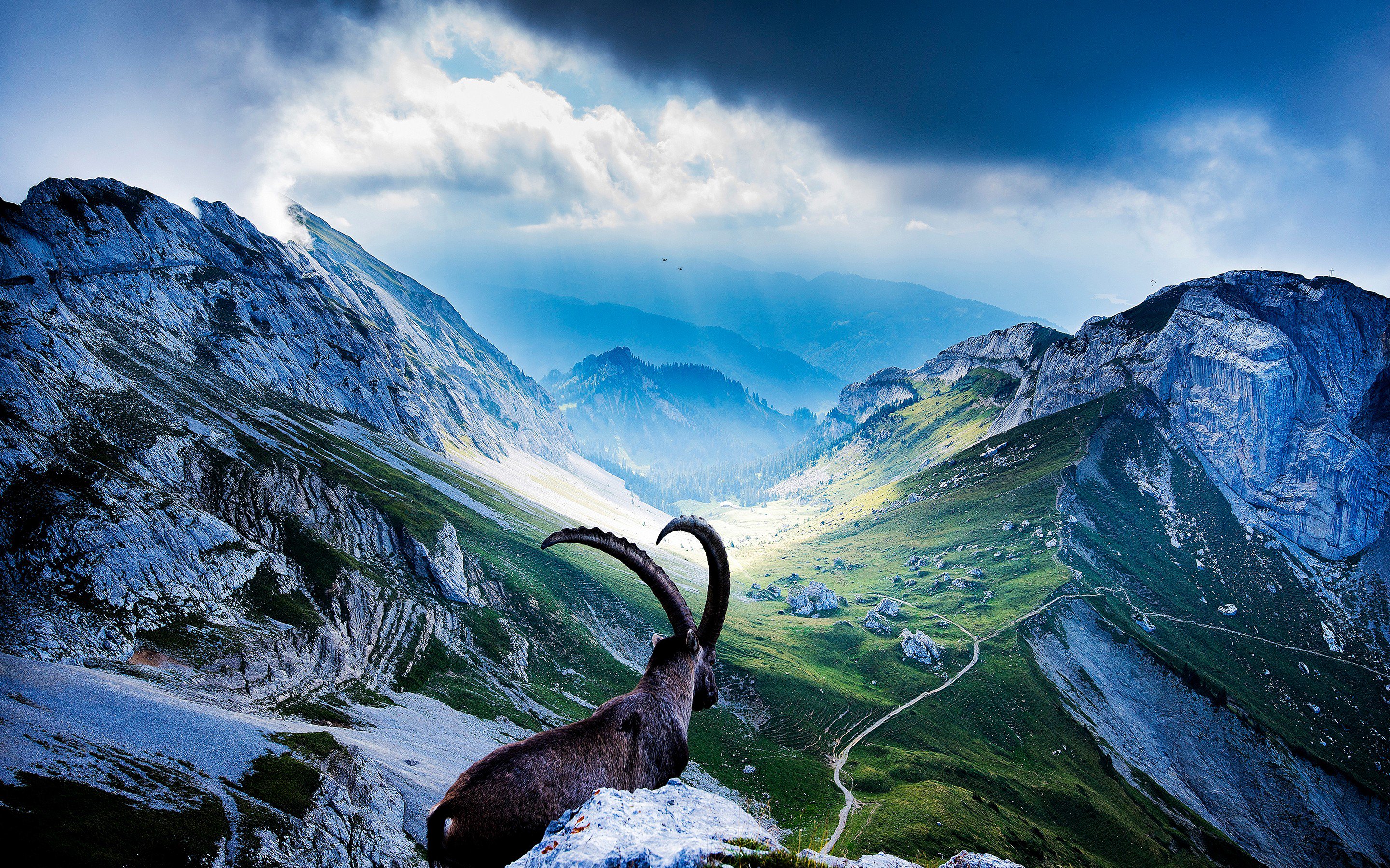 Wallpaper Swiss Alps Mount Pilatus Summer Mountains