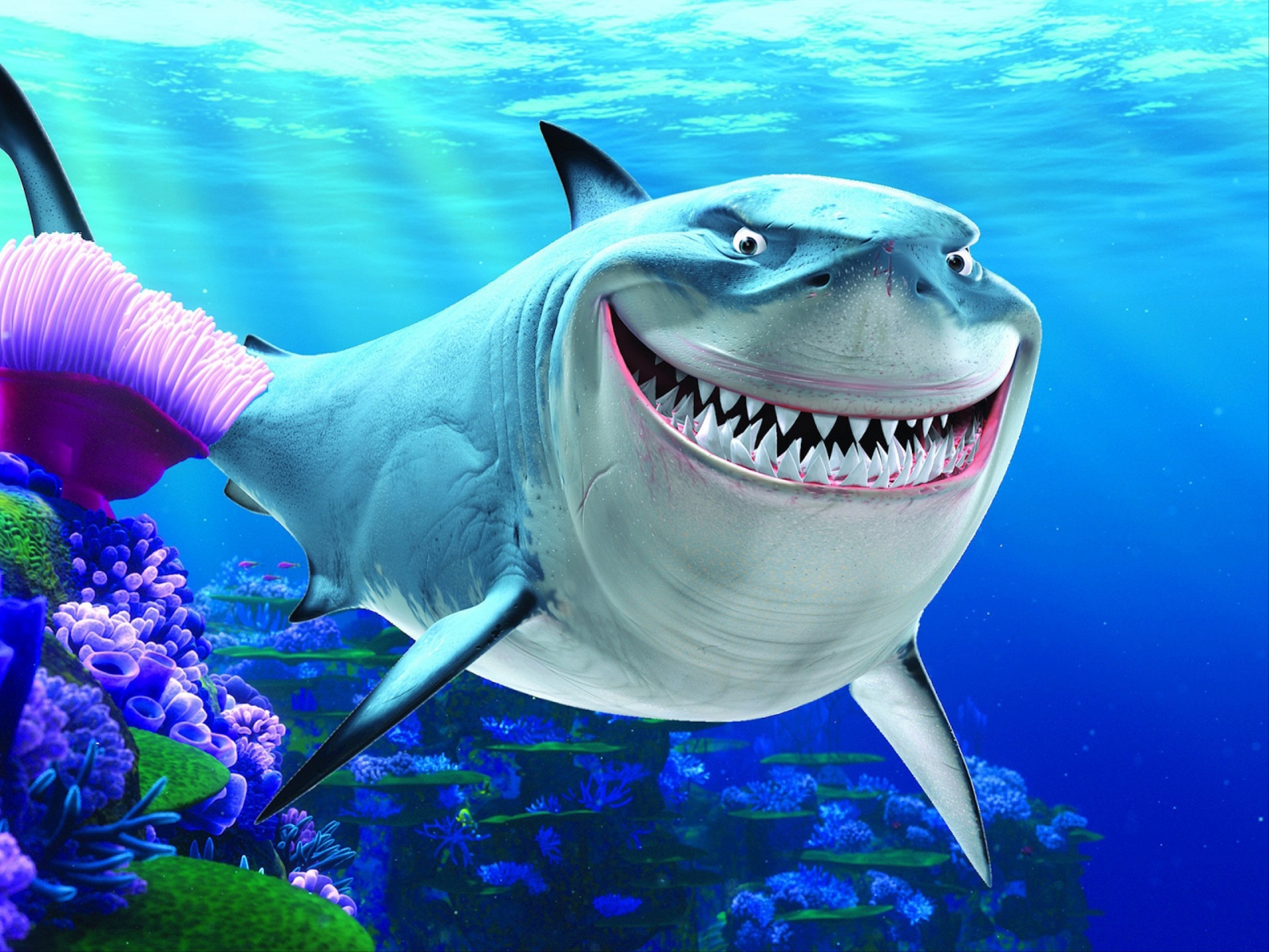 Finding Nemo Shark HD Wallpaper High Definition