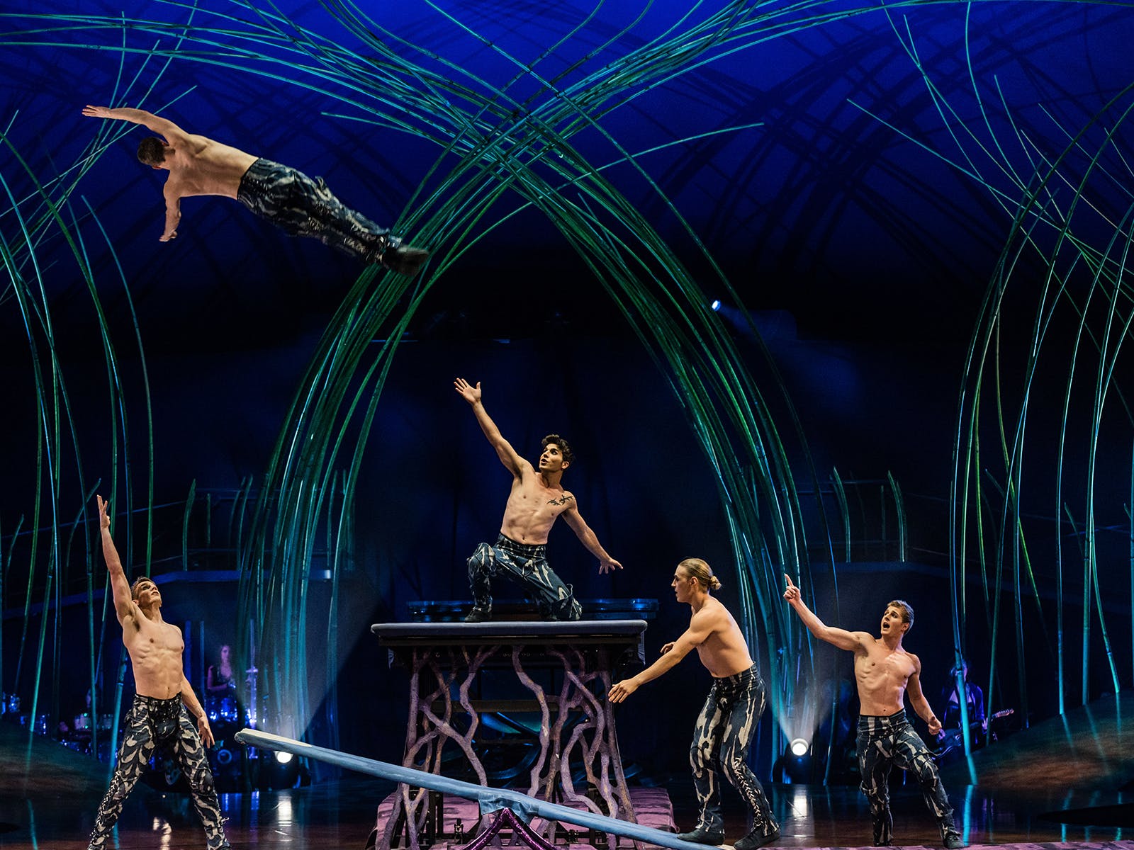 Cirque Du Soleil Amaluna Tickets Los Angeles Oc Todaytix