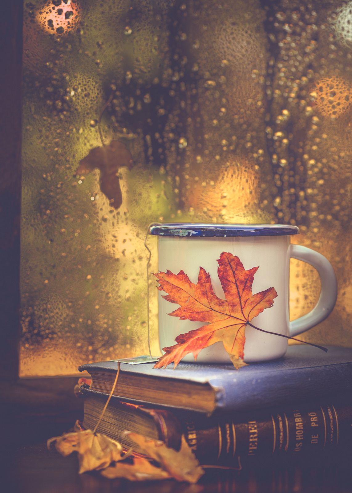 Books Tea And Rain Drops Autumn Inspiration Fall Pictures
